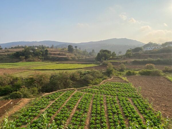 TRAIL Madagascar - 21 au 23 Novembre 2025 - Course par étapes  - ULTRA TREK DES COLLINES SACREES – Image 17